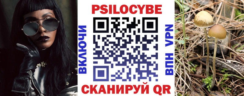Псилоцибиновые грибы Psilocybine cubensis Ефремов